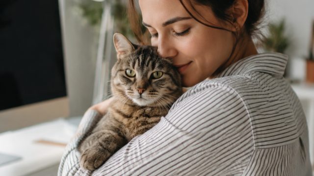 Embracing the Purrfect Joy: A Cat Lover's Delight